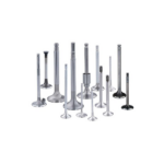 VENTILI GLAVE MOTORA 533 539 540 542 549 560 577