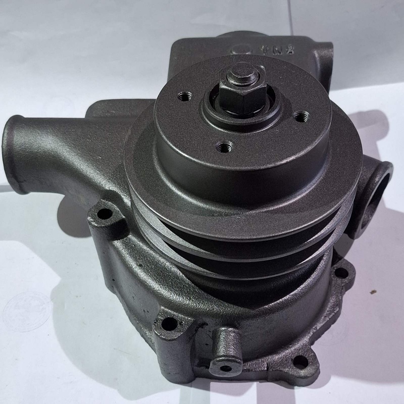 PUMPA VODE 5136 - 5106 - 3 KAJSA PUMPA VODE 5136 - 5106 - 3 KAJSA - Slika 1